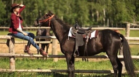 Конная база