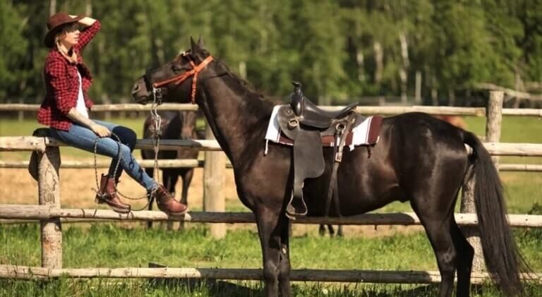 Конная база